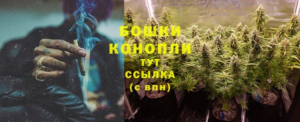 прущие крисы Карпинск