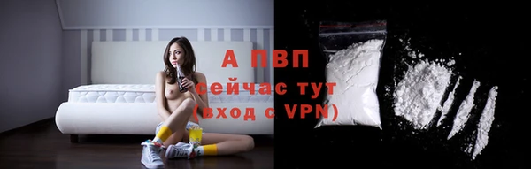 твердый Касимов